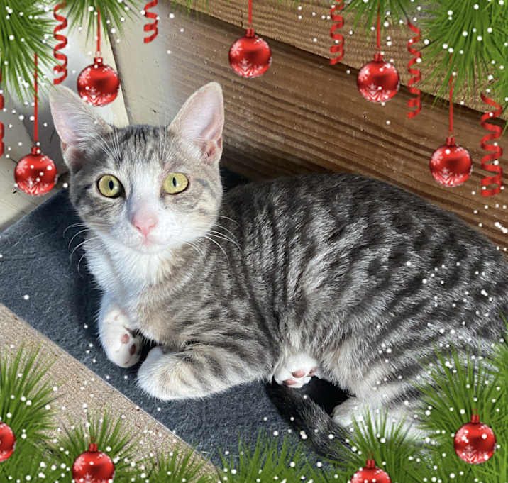 Photo of Lilly