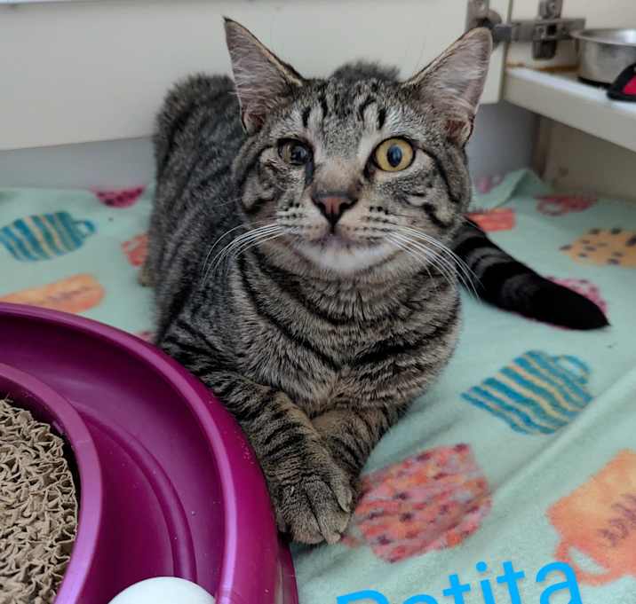 Photo of Patita