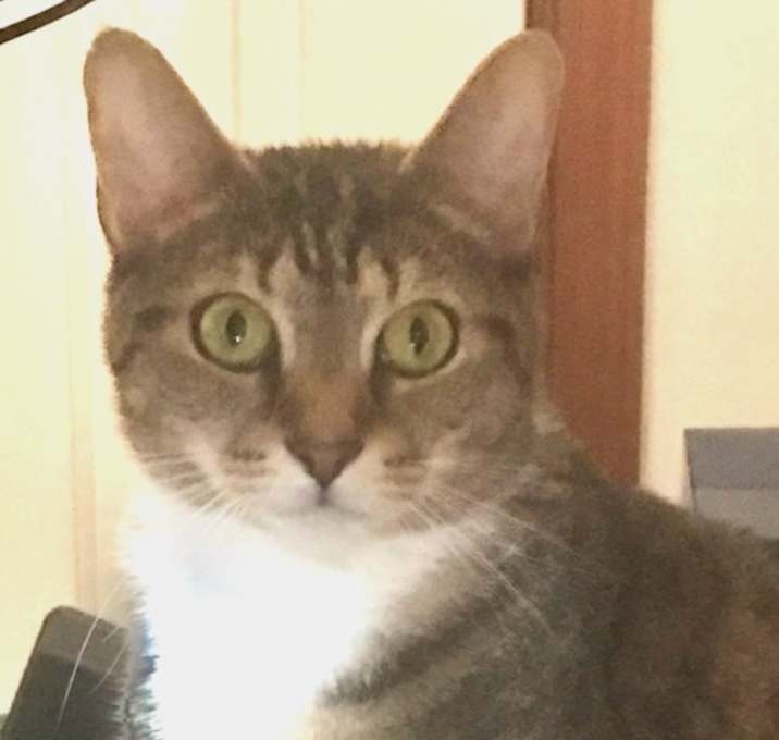 Emmie