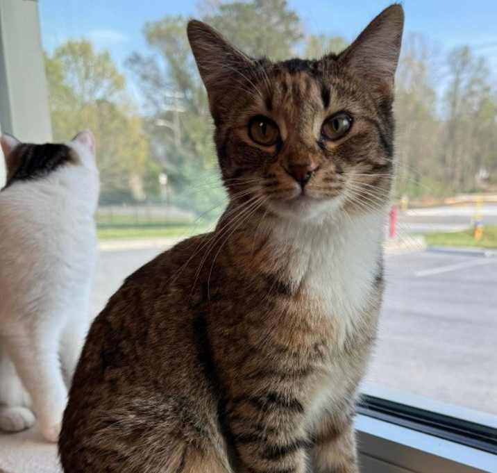 Photo of Minette