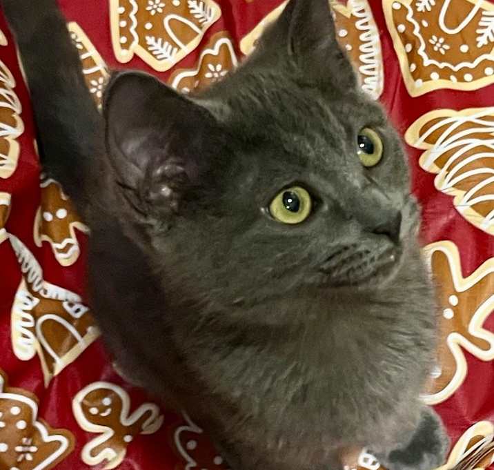 Photo of Bumble