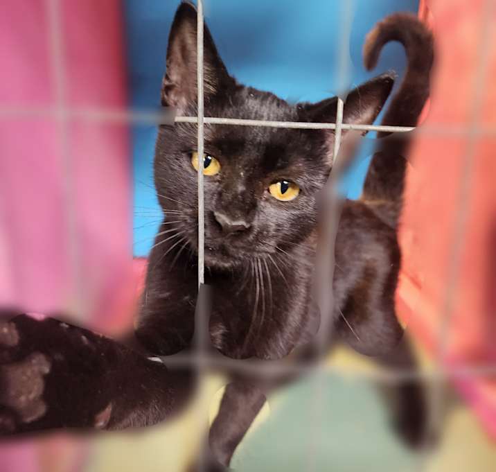 Photo of LUNA