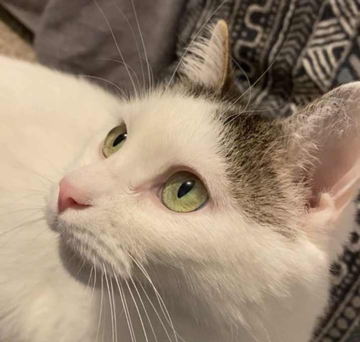 Photo of Precious