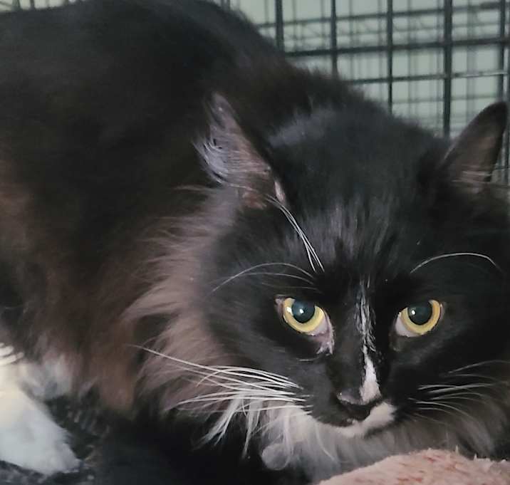 Photo of Olivia