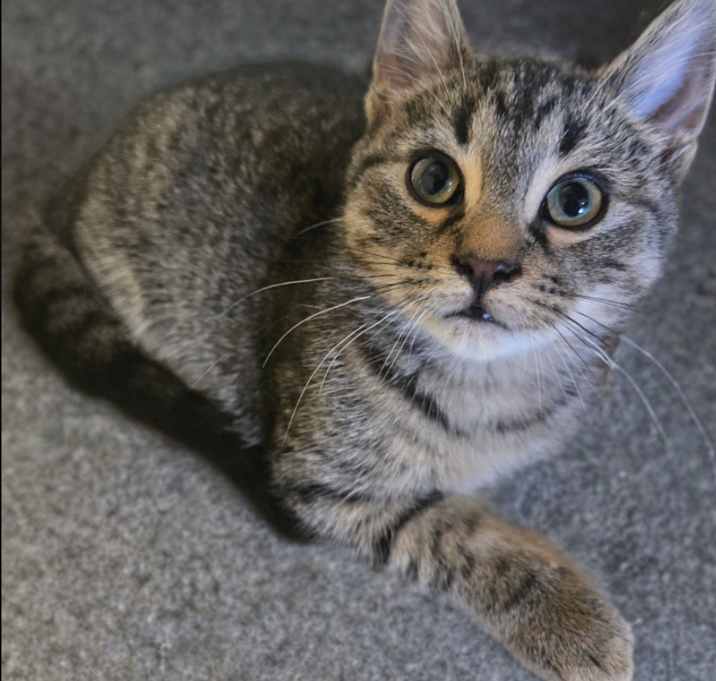 Photo of Lilith