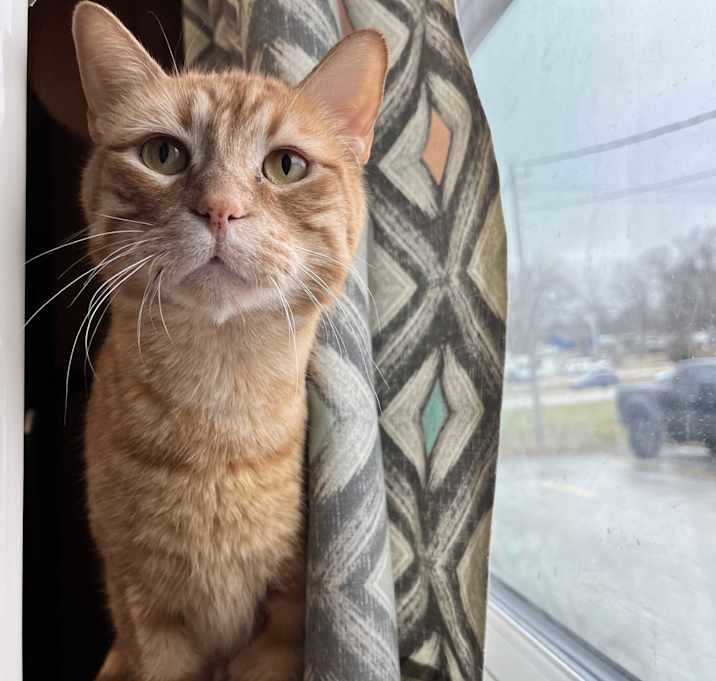 Photo of Templeton