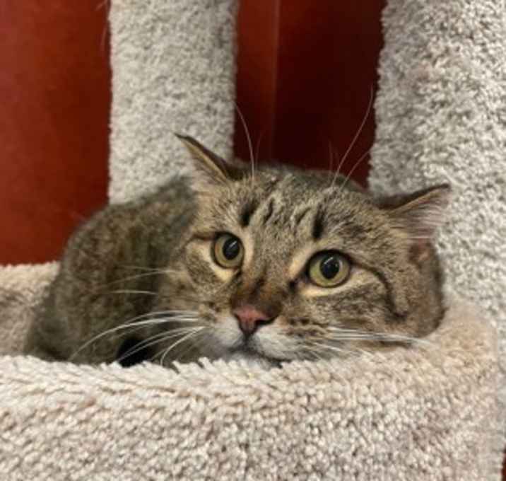 Photo of Jingles