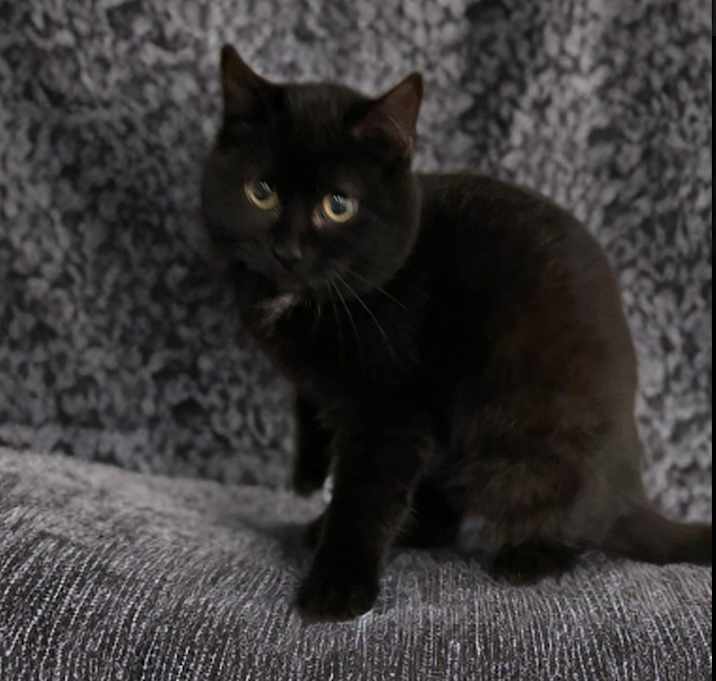 Photo of Magdalena