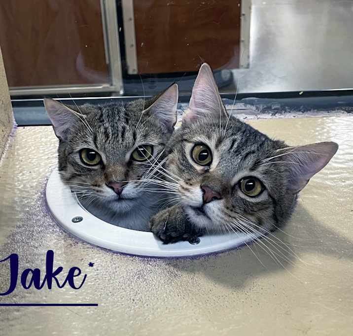 Photo of Jake