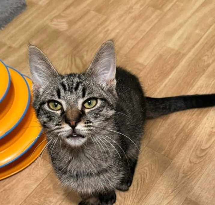 Photo of Murphy