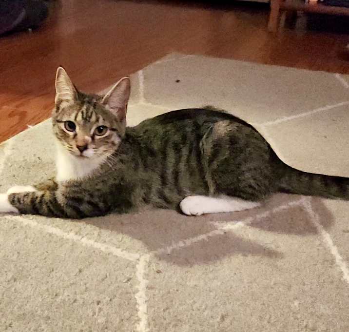 Photo of Precious