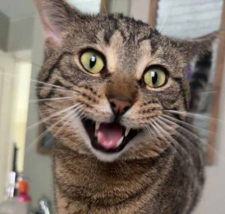 Photo of Bob