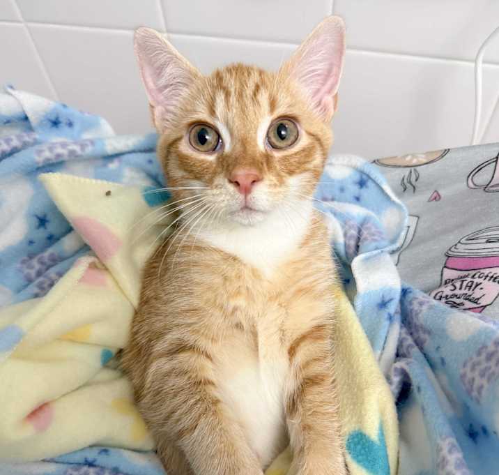 Photo of Jasper