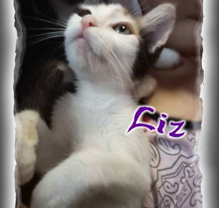 Photo of *Liz
