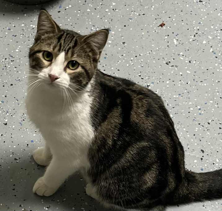 Photo of Kit'N