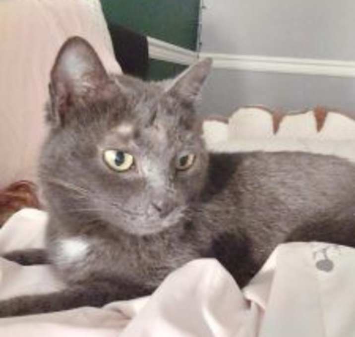 Photo of Char