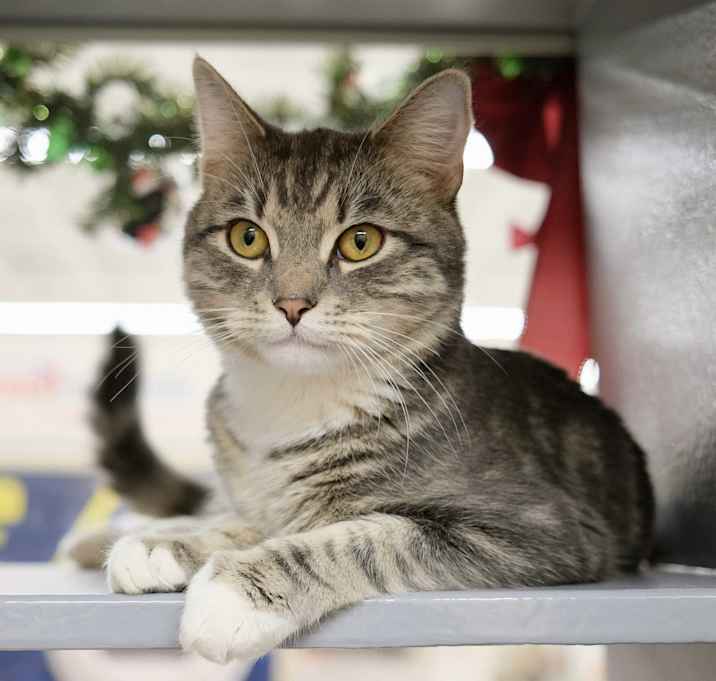 Photo of Rex