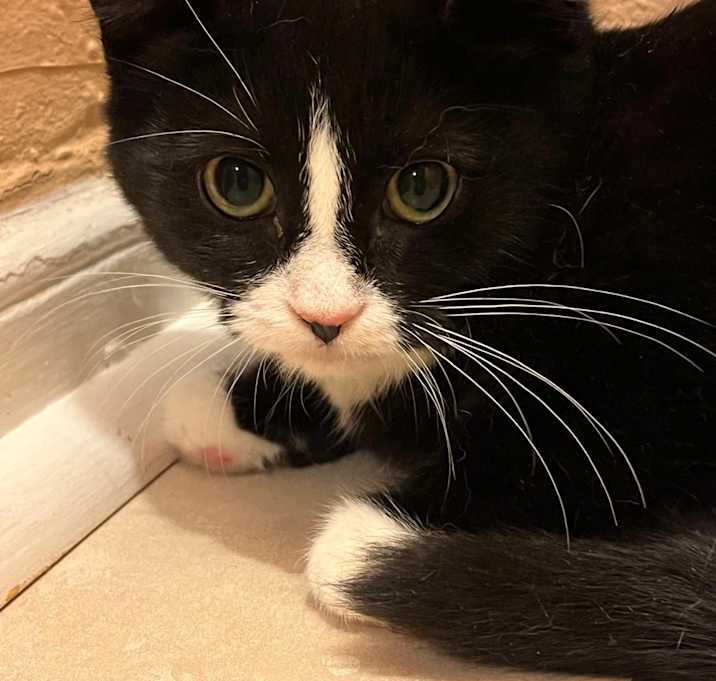 Photo of Sticky