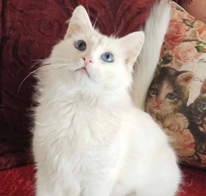Photo of Sylvie