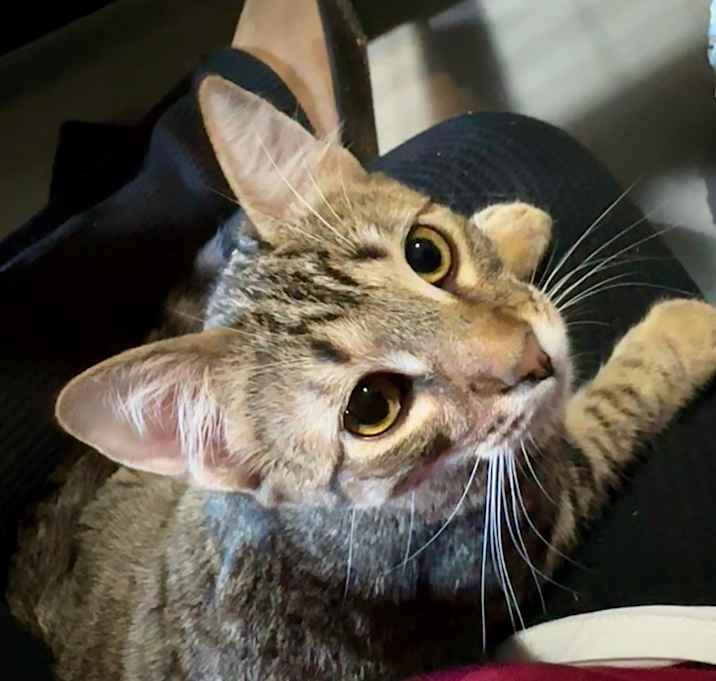 Photo of Gabby