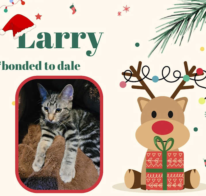 Photo of Larry