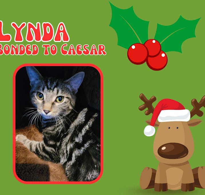 Photo of Lynda