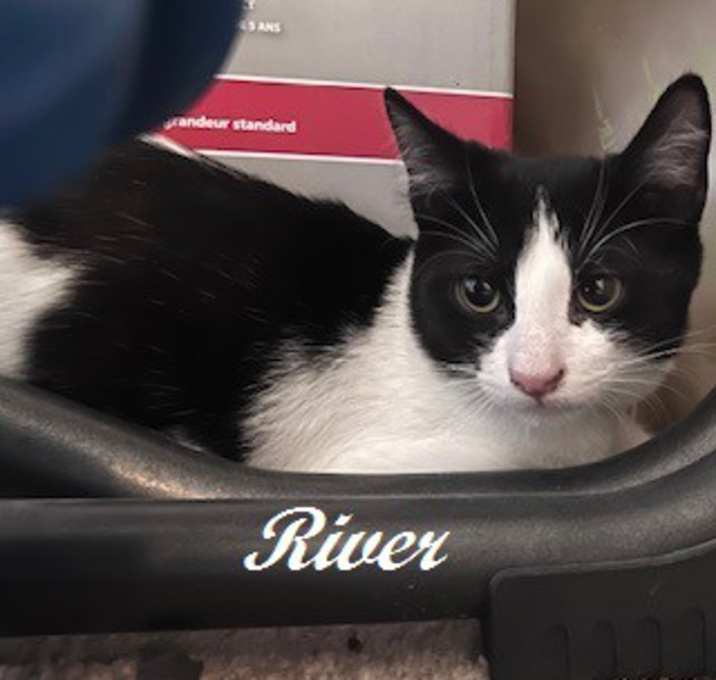 Photo of River