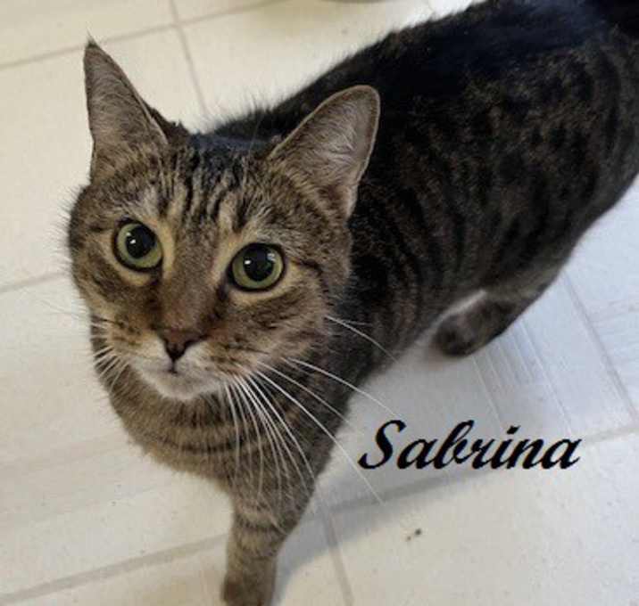 Photo of Sabrina