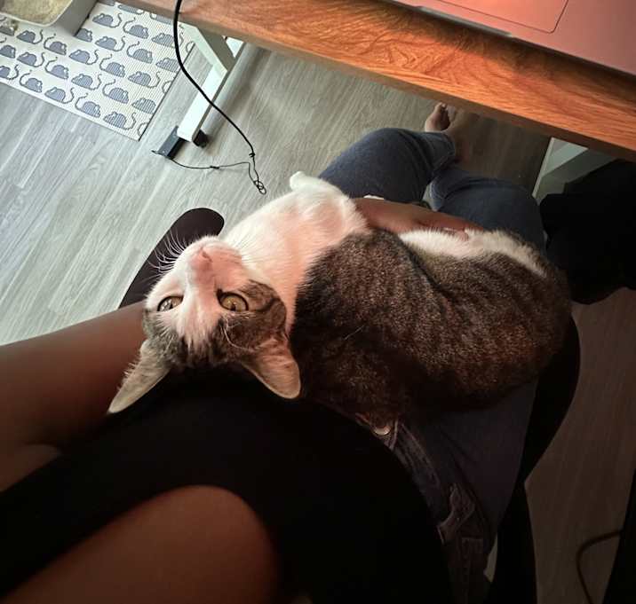 Photo of Luna