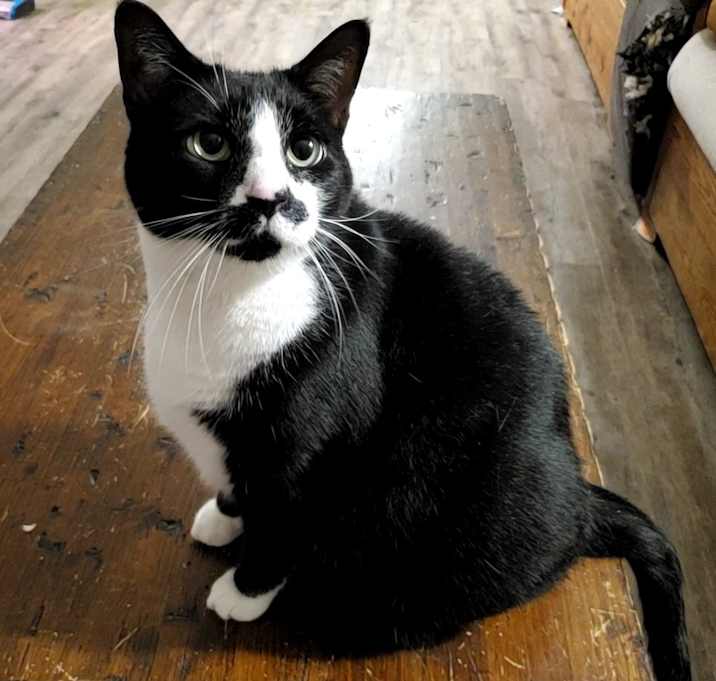 Photo of Stash