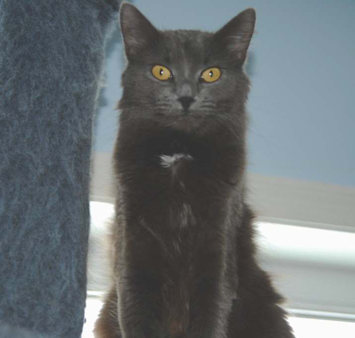 Photo of Gabby