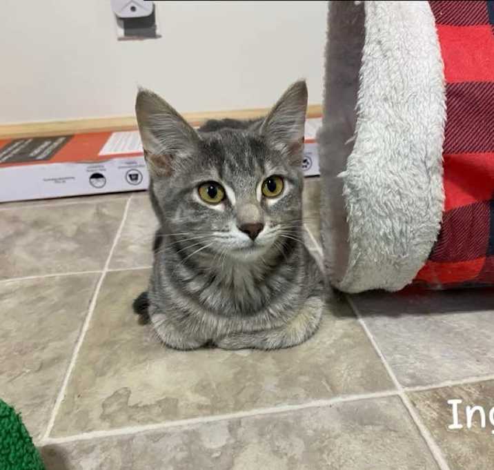 Photo of Ingrid