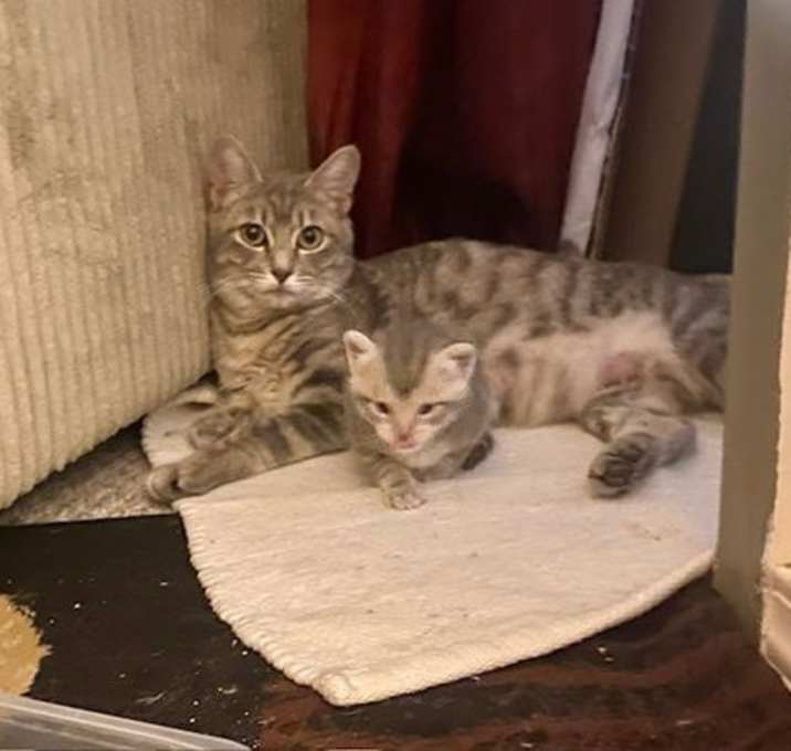 Photo of Momma Mia