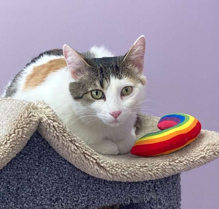 Photo of Buttercup