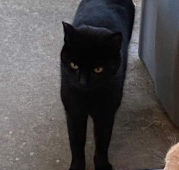 Photo of Ruby
