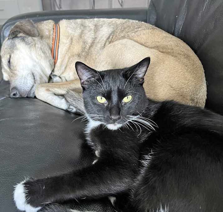 Photo of Binx