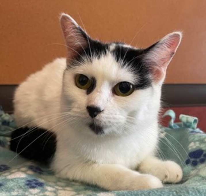 Photo of Trudy