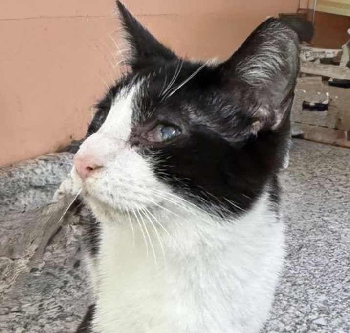 Photo of Larry