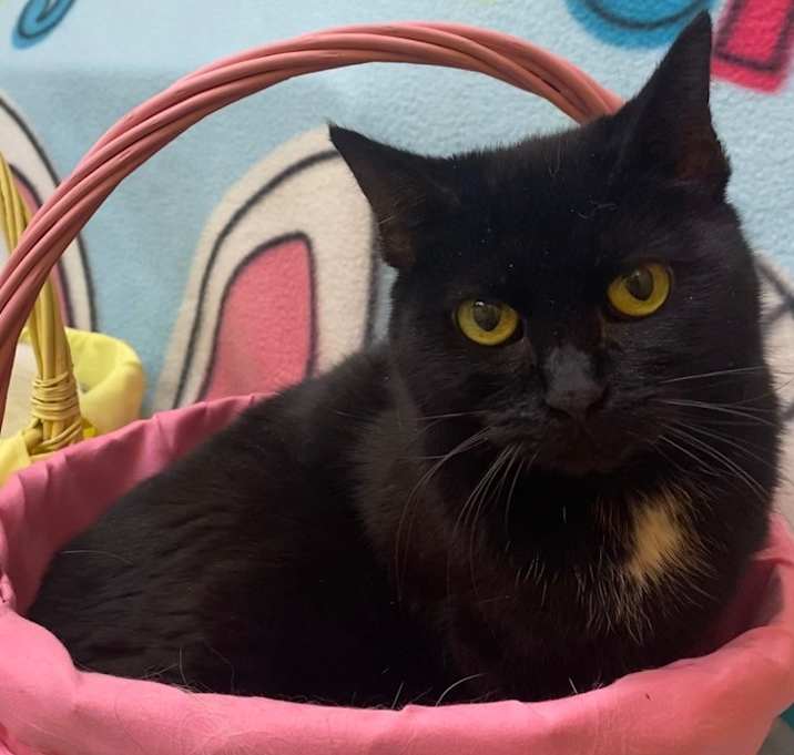 Photo of Missy