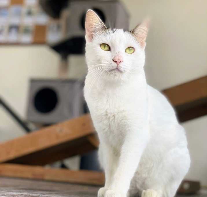 Photo of Quinn