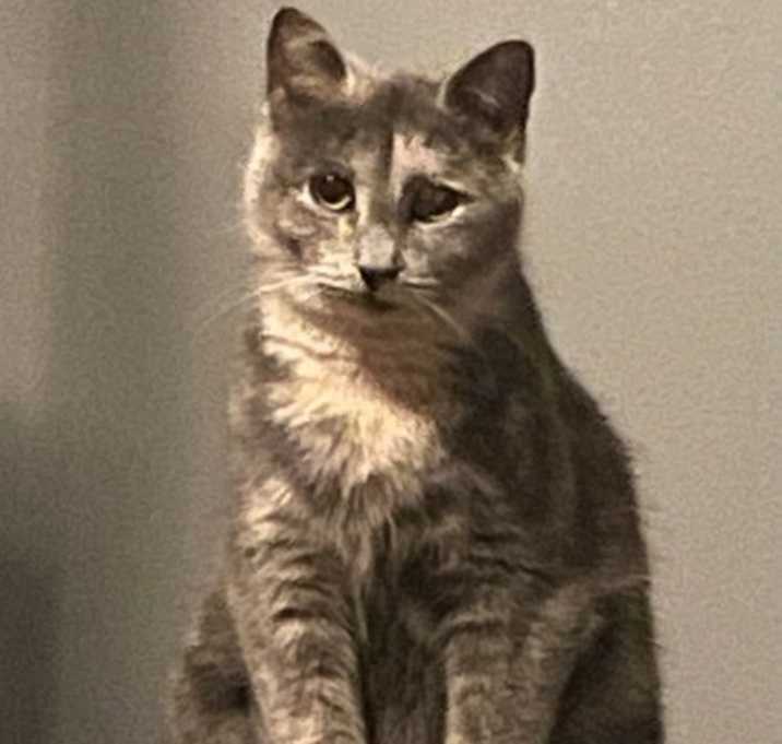 Photo of Cranberry