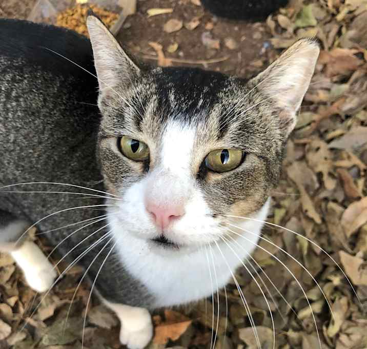 Photo of Lola