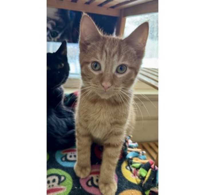 Photo of Bob