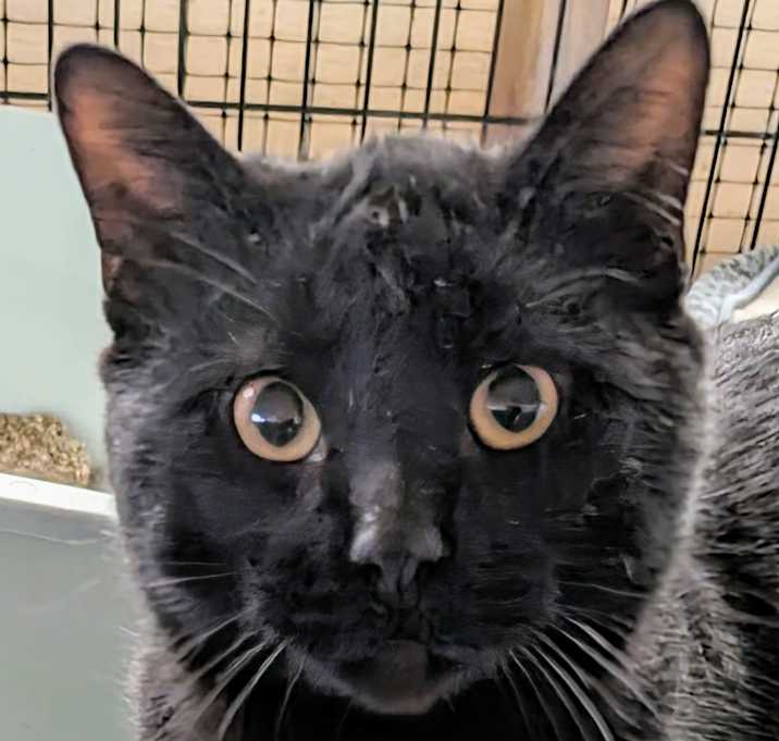 Photo of Zeus