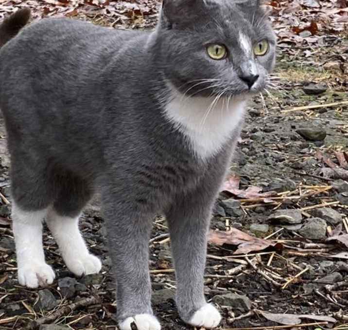 Photo of Ambrosia