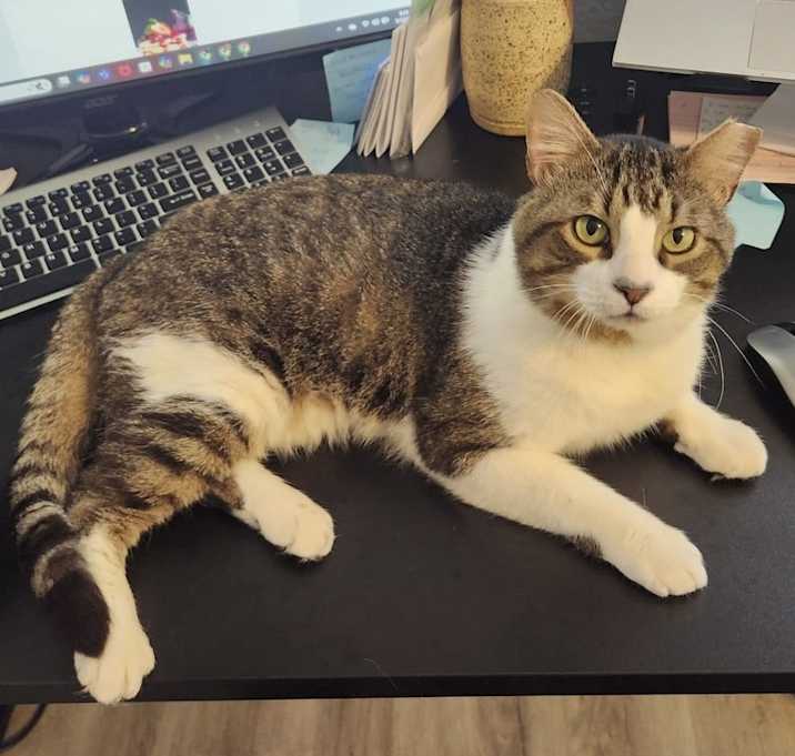 Photo of Buster