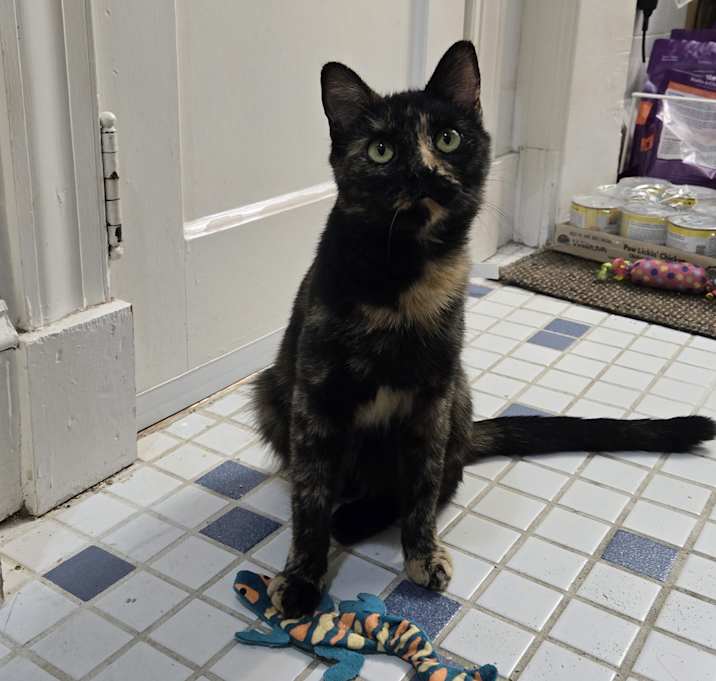 Photo of Missy