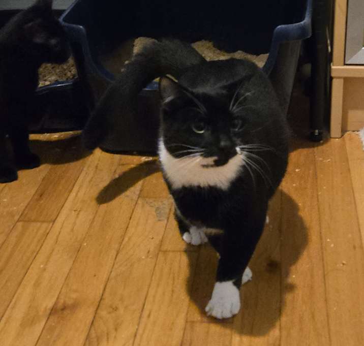 Photo of Isaac