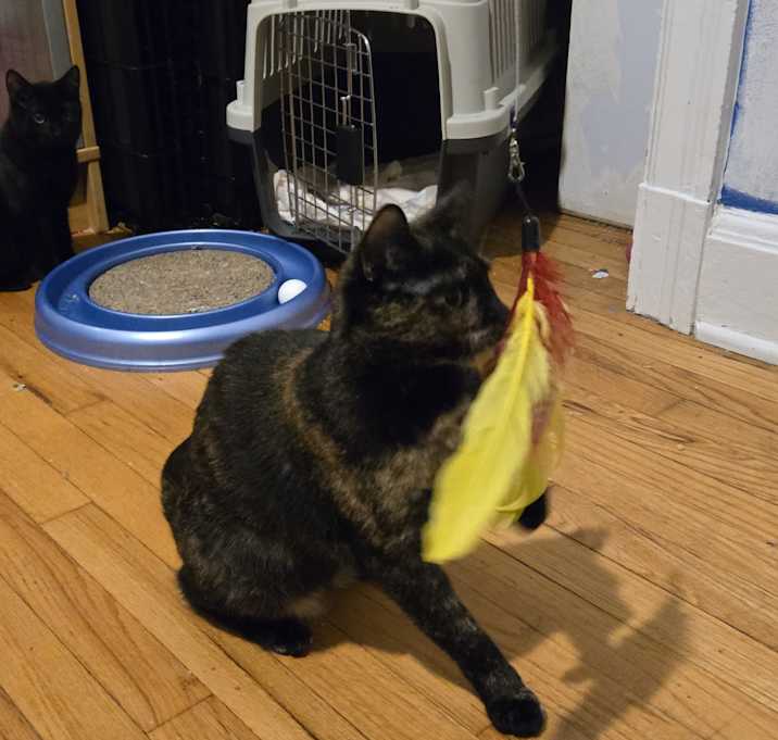 Photo of Marie