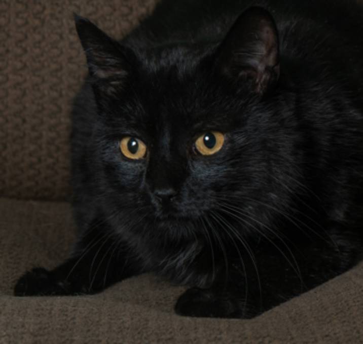 Photo of Booger